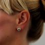 Picture of Tanzanite Rose Earrings