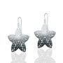 Picture of Star Earrings