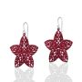 Picture of Star Earrings